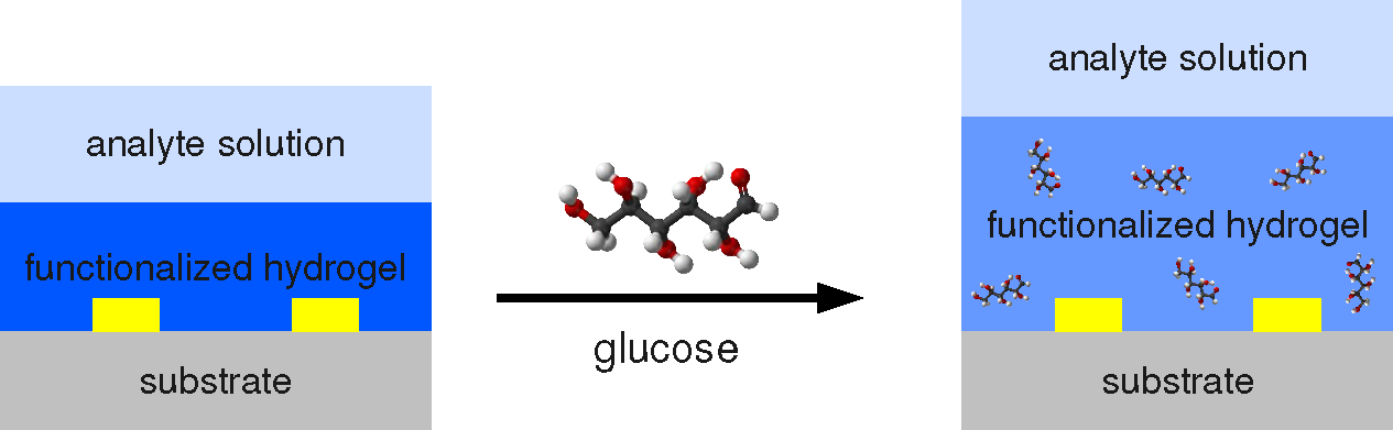 hydrogel_red