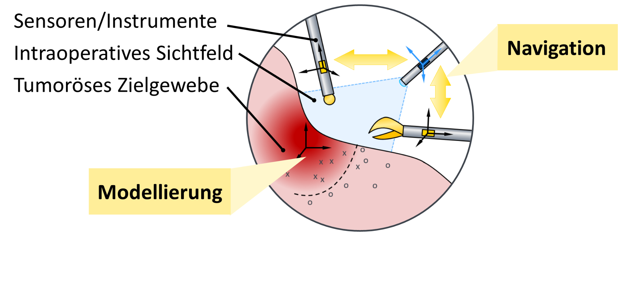 Konzeptionelle Darstellung